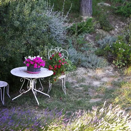 בית נופש In Near Camargue Reserve