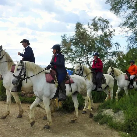 Дом отдыха In Near Camargue Reserve