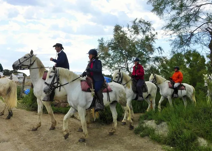 Nyaraló In Near Camargue Reserve